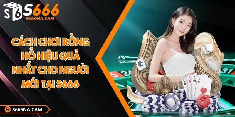 Cách chơi rồng hổ hiệu quả nhất cho người mới tại S666