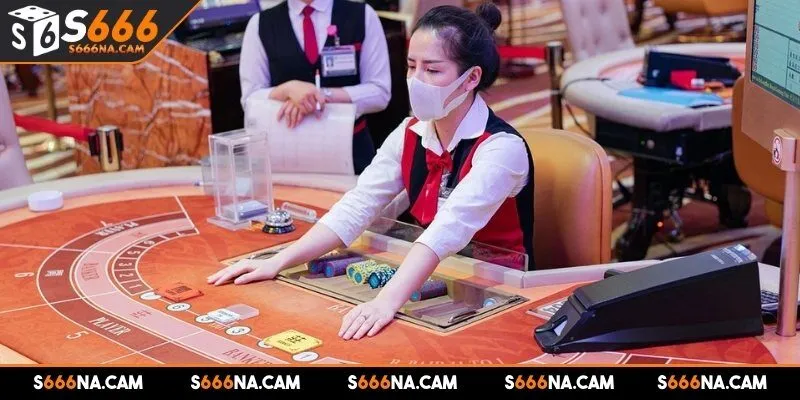 Lý do làm cho casino S666 trở thành lựa chọn hàng đầu