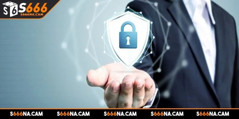 Nhà cái cam kết nhiều quyền lợi cho người chơi